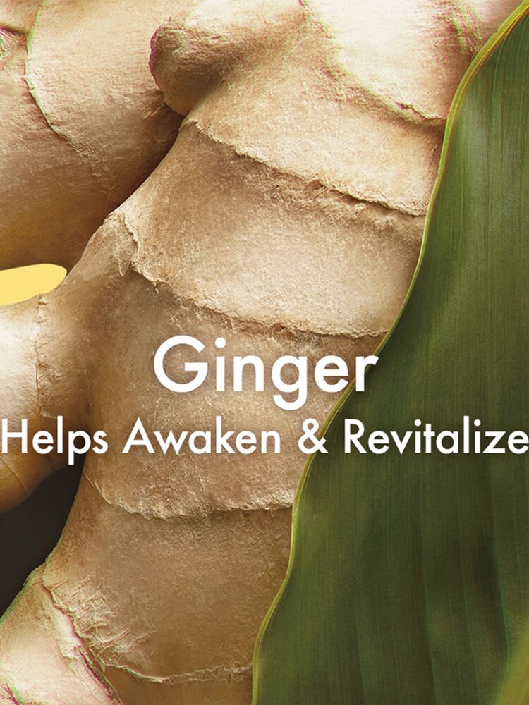 Origins Ginger Incredible Spreadable Smoothing Ginger Body Scrub 200ml - Image 3 of 3
