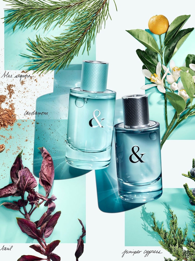 Tiffany & Co. Tiffany & Love for Her Eau de Parfum 90ml - Image 4 of 4