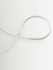 Daisy London Fine Snake Chain Necklace - Image 1 of 5