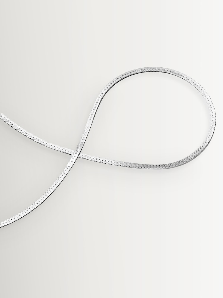 Daisy London Fine Snake Chain Necklace - Image 1 of 5