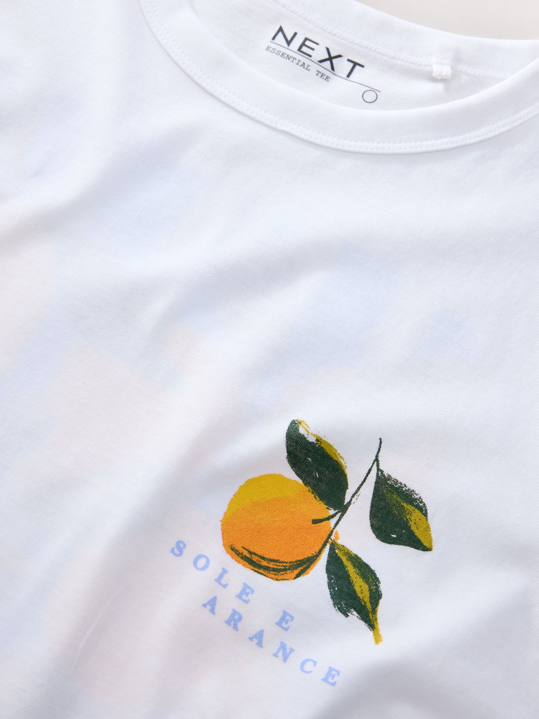 Buy White Orange Graphic Short Sleeve T-Shirt from Next South Africa