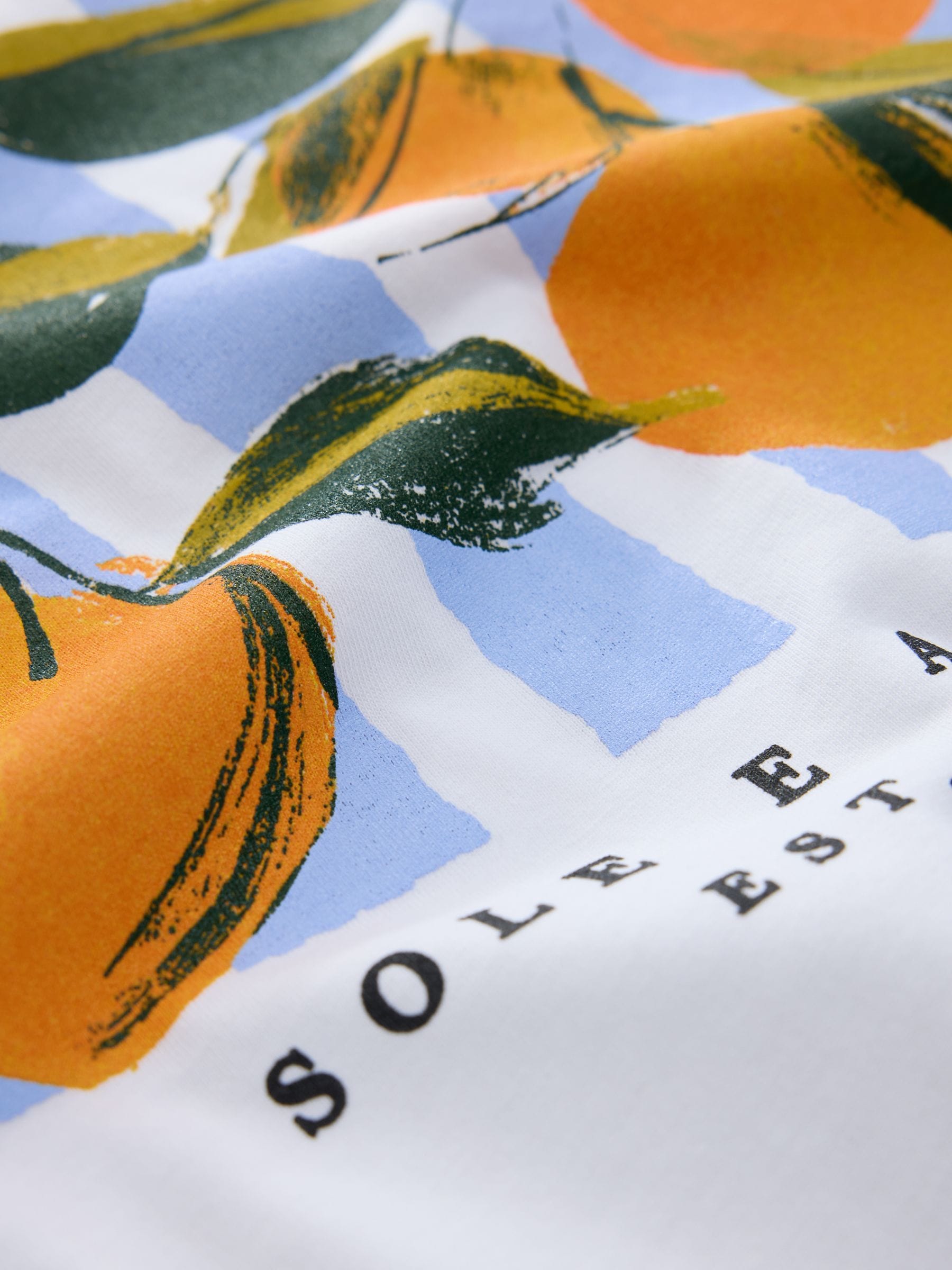 Buy White Orange Graphic Short Sleeve T-Shirt from Next South Africa