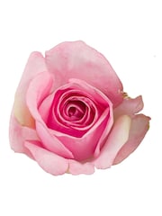 Gallery Home Pink Primrose Mixed Bouquet - Image 3 of 3