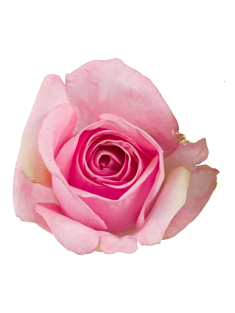 Gallery Home Pink Primrose Mixed Bouquet - Image 3 of 3