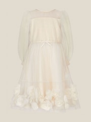 Monsoon Gold Remi Rose Appliqué Glitter Party Dress - Image 1 of 3
