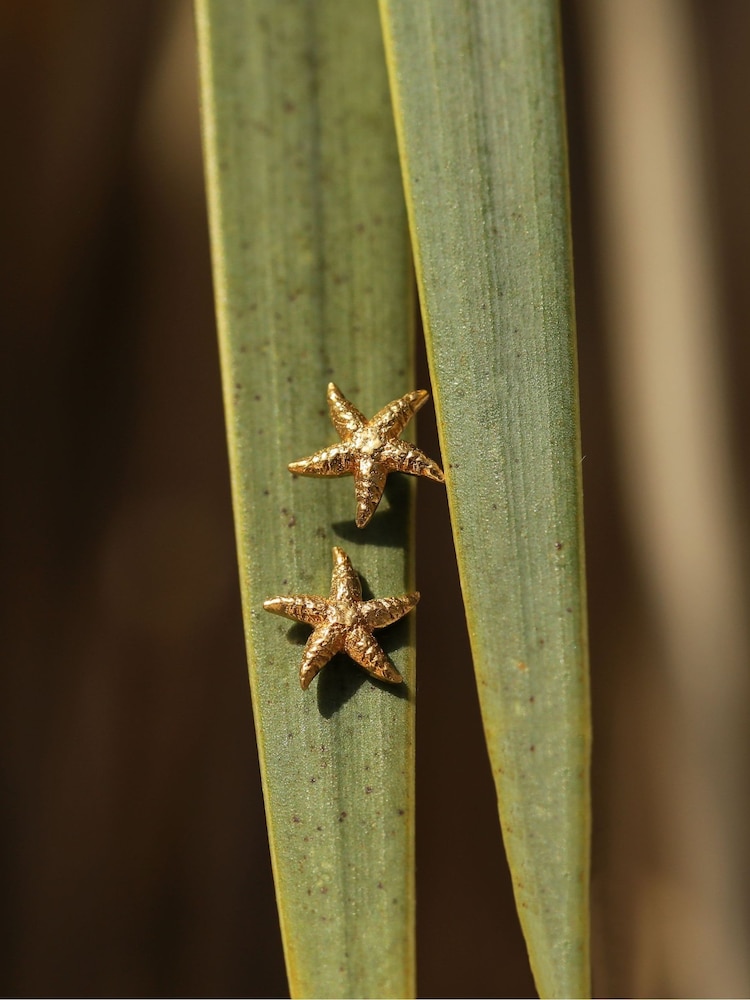 Carrie Elizabeth Gold Tone Mini Starfish Stud Earrings - Image 4 of 4