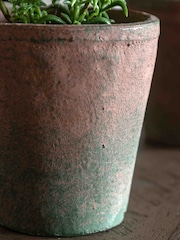 Gallery Home Red Potted Rosemary Terracotta - Image 3 of 6