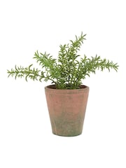 Gallery Home Red Potted Rosemary Terracotta - Image 6 of 6