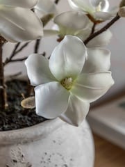Gallery Home White Magnolia Vase Arrangement - Image 3 of 4