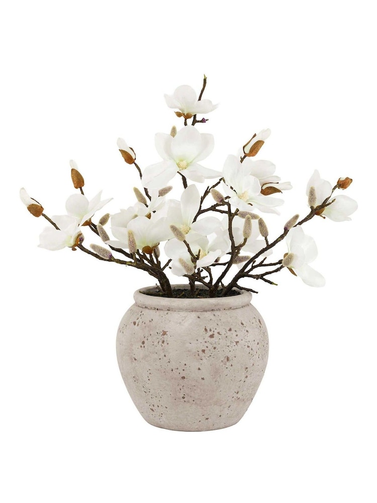 Gallery Home White Magnolia Vase Arrangement - Image 4 of 4 Gallery Home White Magnolia Vase Arrangement - Image 4 of 4