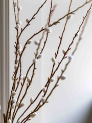Gallery Home Brown Orchids in Moss: Dot Pot - Image 3 of 6