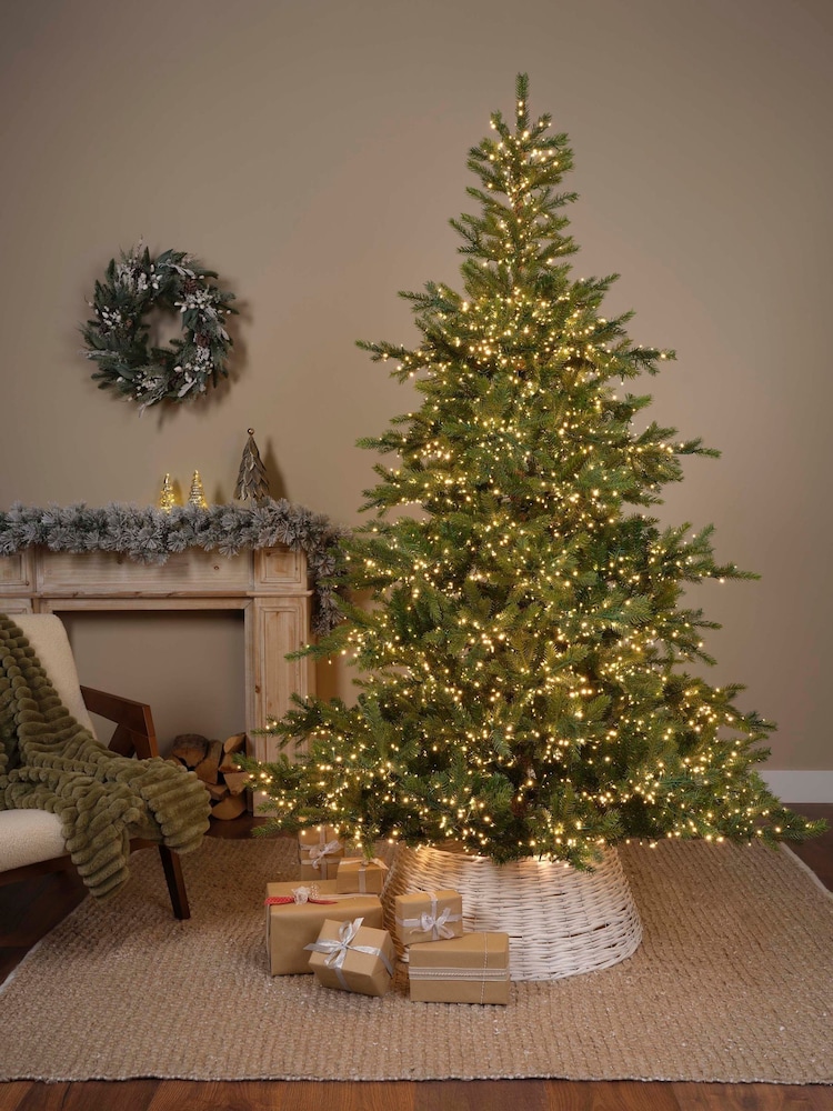 Everlands Green Warm White 7ft Grandis Pre-Lit Compact Light Christmas Tree - Image 1 of 6 Everlands Green Warm White 7ft Grandis Pre-Lit Compact Light Christmas Tree - Image 1 of 6