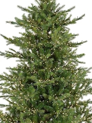 Everlands Green Warm White 7ft Grandis Pre-Lit Compact Light Christmas Tree - Image 5 of 6