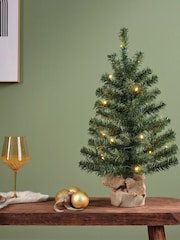 Everlands Green White Warm 1.5ft Imperial Pre-Lit Christmas Tree - Image 1 of 3