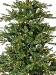 Everlands Green Warm White 7ft Grandis Pre-Lit Christmas Tree - Image 6 of 7