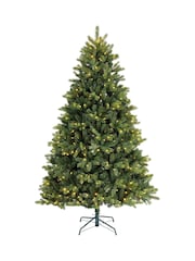 Everlands Green Warm White Multi 7ft Freiburg Pre Lit Colour-Switch Christmas Tree - Image 3 of 8