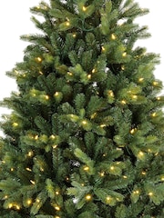 Everlands Green Warm White Multi 7ft Freiburg Pre Lit Colour-Switch Christmas Tree - Image 5 of 8