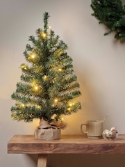 Everlands Green Warm White 2ft Imperial Pre-Lit Christmas Mini Tree - Image 1 of 3