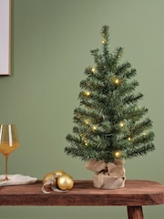 Everlands Green Warm White 2ft Imperial Pre-Lit Christmas Mini Tree - Image 2 of 3