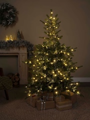 Everlands Green Warm White 5ft Grandis Pre-Lit Christmas Tree - Image 2 of 6