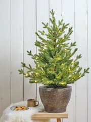 Everlands Green Warm White 3ft Potted Pre-Lit Norway Christmas Tree - Image 1 of 2