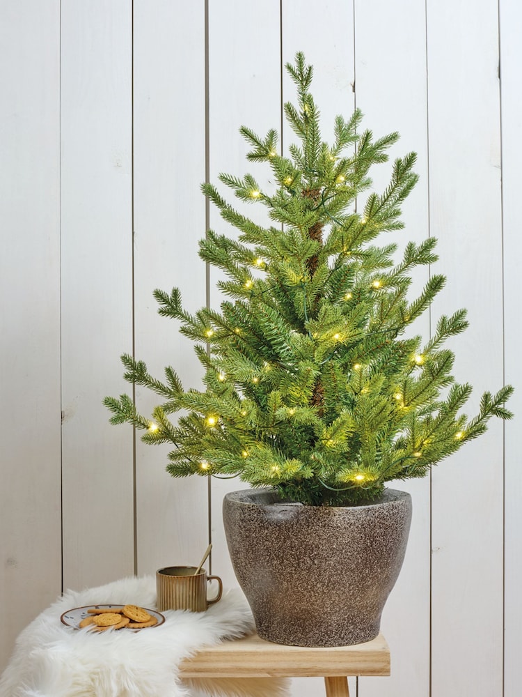 Everlands Green Warm White 3ft Potted Pre-Lit Norway Christmas Tree - Image 1 of 2 Everlands Green Warm White 3ft Potted Pre-Lit Norway Christmas Tree - Image 1 of 2