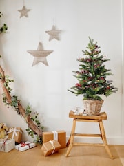 Everlands Green Warm White 3ft Grandis Pre-Lit Christmas Tree - Image 3 of 5