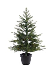 Everlands Green Warm White 3ft Grandis Pre-Lit Christmas Tree - Image 4 of 5