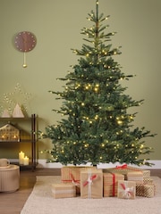 Everlands Green Warm White Classic 7ft Kiens Fir Pre-Lit Christmas Tree - Image 1 of 6