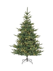 Everlands Green Warm White Classic 7ft Kiens Fir Pre-Lit Christmas Tree - Image 3 of 6
