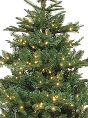 Everlands Green Warm White Classic 7ft Kiens Fir Pre-Lit Christmas Tree - Image 5 of 6