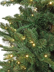 Everlands Green Warm White Classic 7ft Kiens Fir Pre-Lit Christmas Tree - Image 6 of 6