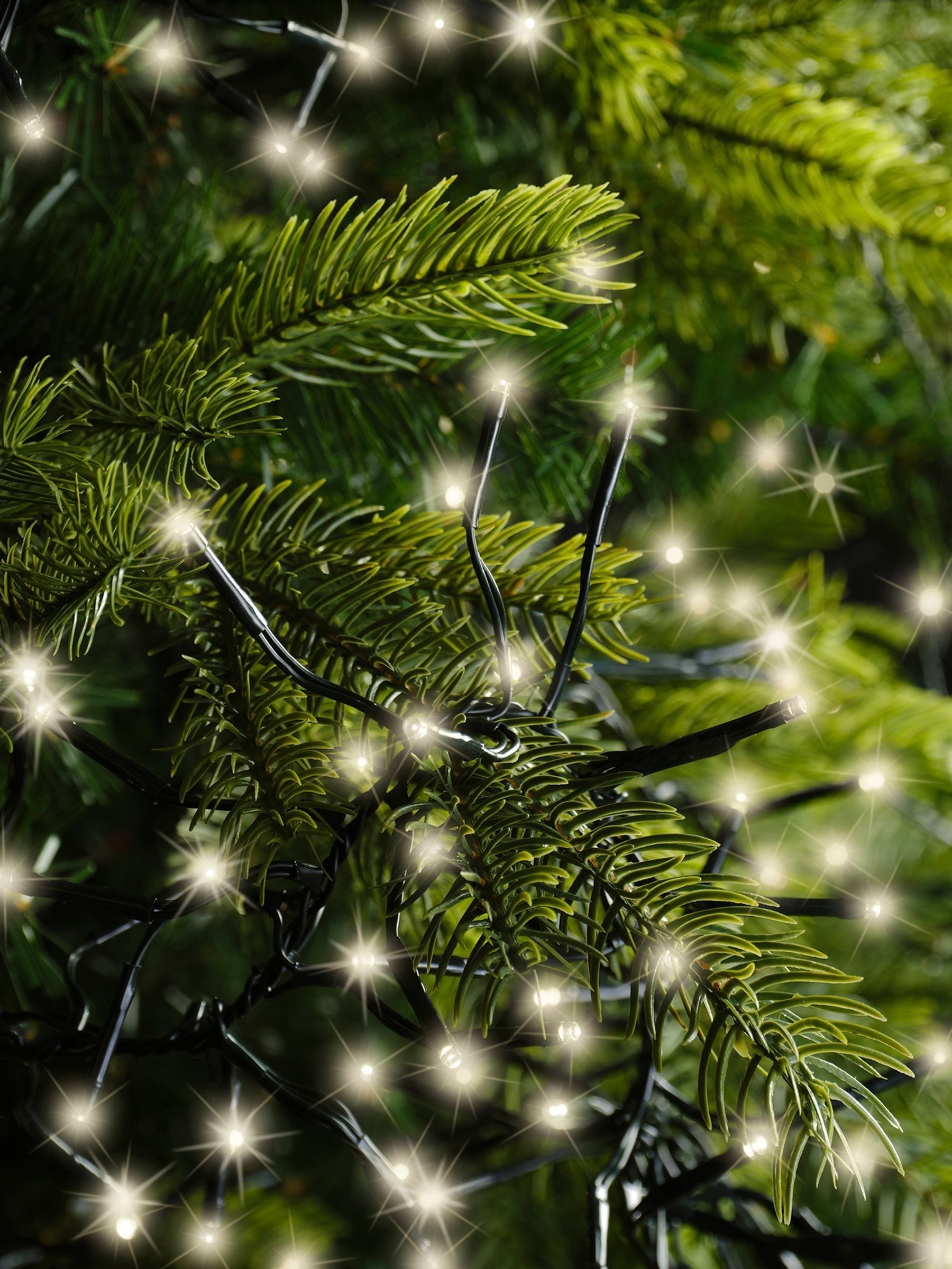 Lumineo Unisex Green Warm White 14M Led Cluster Christmas Lights