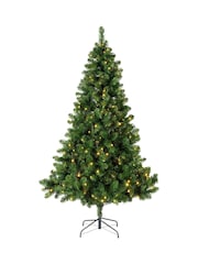 Everlands Green Warm White 6ft Imperial Pre-Lit Christmas Tree - Image 3 of 6