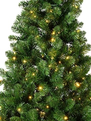 Everlands Green Warm White 6ft Imperial Pre-Lit Christmas Tree - Image 5 of 6