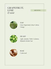 Grace Cole Grapefruit, Lime & Mint Body Care Duo 300ml - Image 5 of 5
