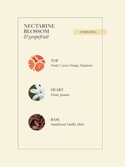 Grace Cole Nectarine Blossom & Grapefruit Hand Care Duo Set 2x300ml - Image 4 of 4