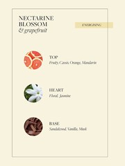 Grace Cole Nectarine Blossom And Grapefruit 300ml Body Lotion - Image 5 of 5