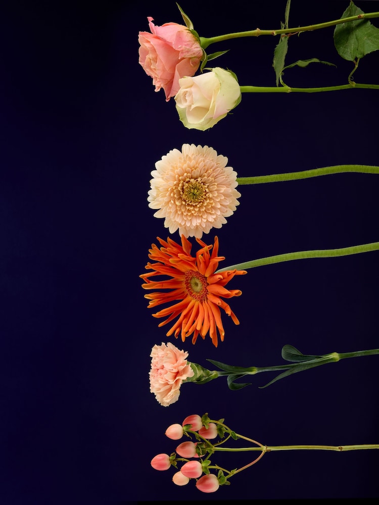 Autumn Rose and Gerbera Flower Gift Bag - Image 4 of 4