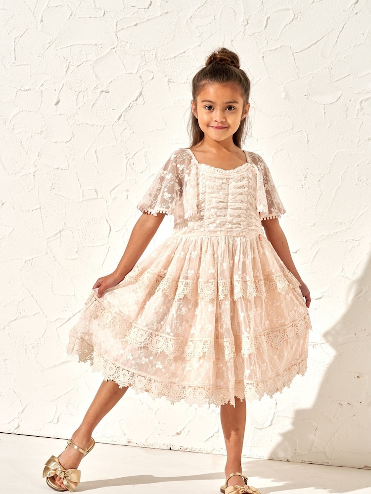 Angel & Rocket Pink Annabelle Vintage Lace Mesh Dress - Image 1 of 5