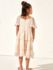 Angel & Rocket Pink Annabelle Vintage Lace Mesh Dress - Image 2 of 5