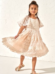 Angel & Rocket Pink Annabelle Vintage Lace Mesh Dress - Image 3 of 5