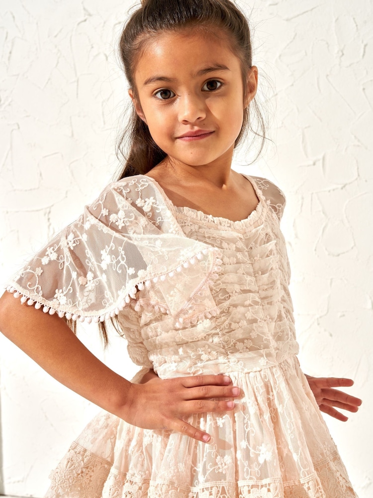 Angel & Rocket Pink Annabelle Vintage Lace Mesh Dress - Image 5 of 5