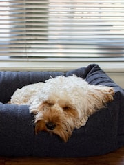 Rosewood Grey Grey Felt with Support Bed - Image 1 of 4