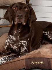 Scruffs Brown Chester Box Mattress - Image 3 of 4