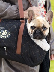 Scruffs Black Wilton Carrier - Image 1 of 3