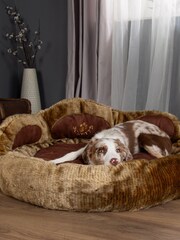 Scruffs Brown Cub Teddy - Image 1 of 4
