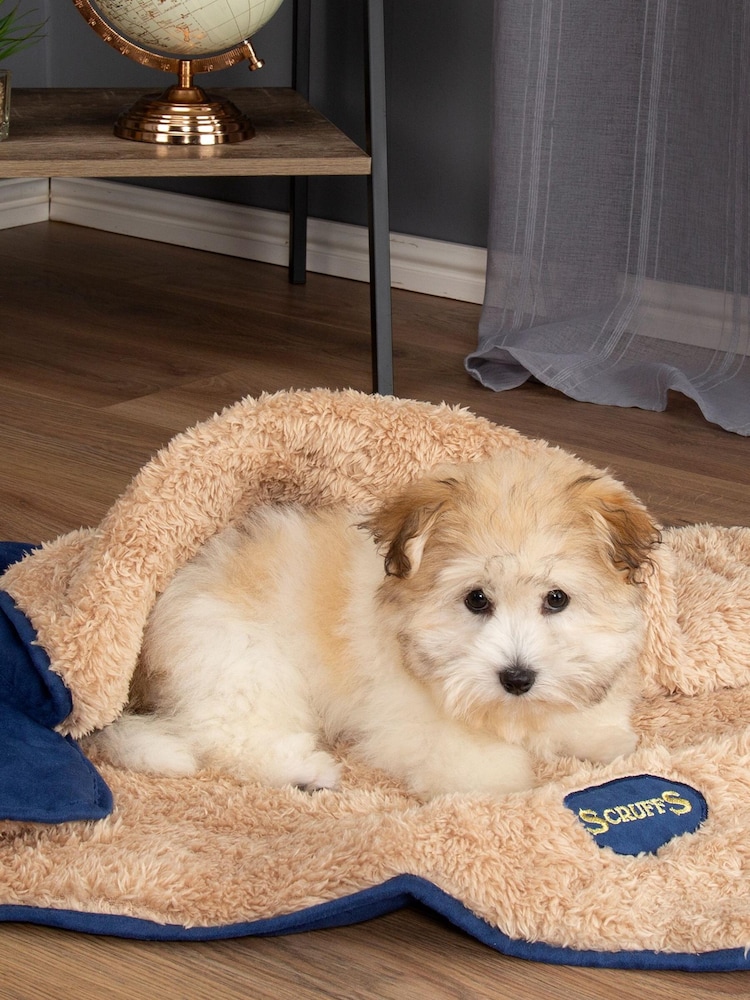 Scruffs Blue Snuggle Blanket - Image 1 of 3