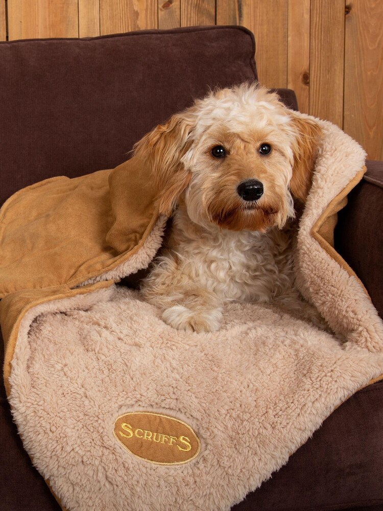 Scruffs Brown Snuggle Blanket - Image 1 of 3