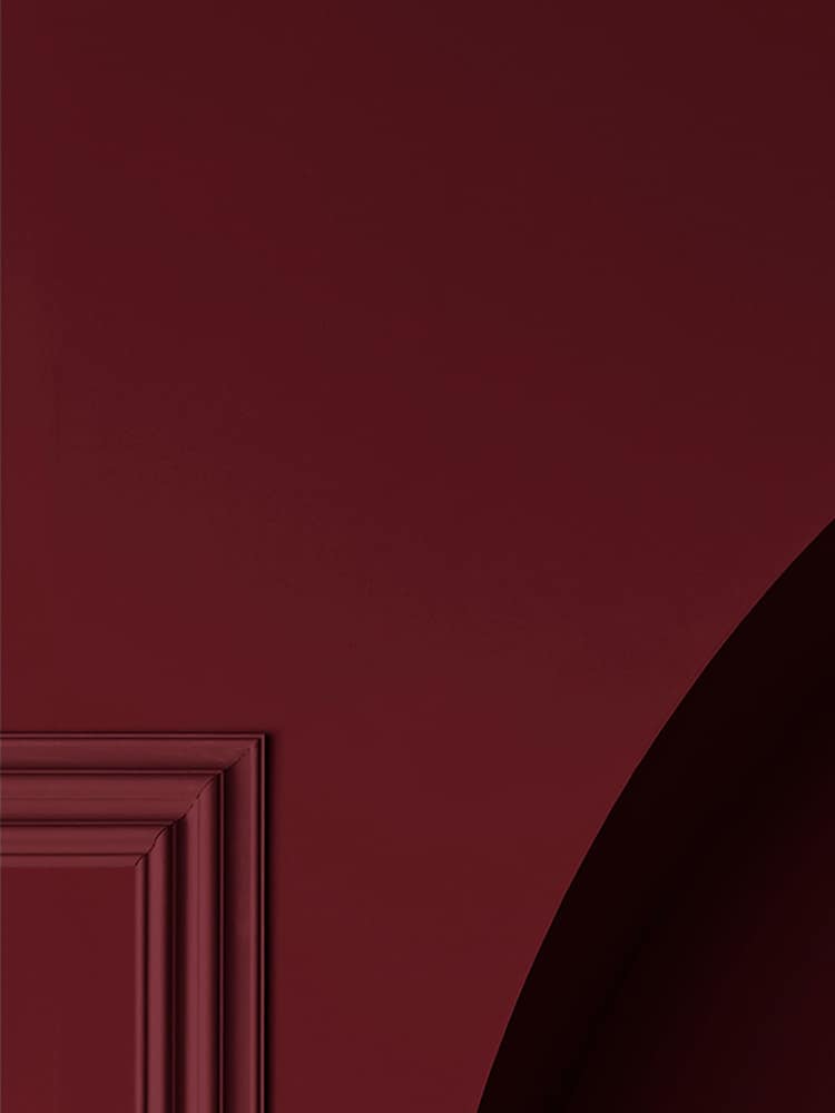Graham & Brown Roger Red Resistance Ultra Durable Matt Emulsion Paint - Image 3 of 3 Graham & Brown Roger Red Resistance Ultra Durable Matt Emulsion Paint - Image 3 of 3